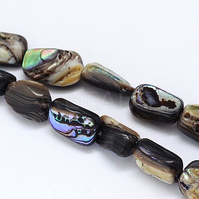 Wholesale Natural Paua Shell Beads Strands KBeads