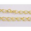 Iron Twisted Chains CH017-G-1