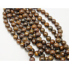 Natural Bronzite Beads Strands G-Q605-26-2