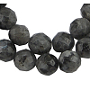 Natural Larvikite Beads Strands G865-102-1