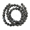 Natural Larvikite Beads Strands G865-102-2