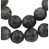 Natural Larvikite Beads Strands G866-102-1