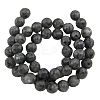 Natural Larvikite Beads Strands G866-102-2