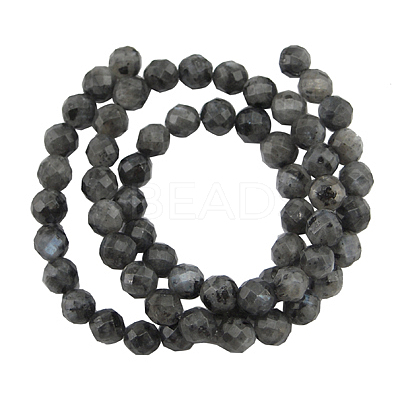 Natural Larvikite Beads Strands G865-102-1