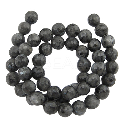 Natural Larvikite Beads Strands G866-102-1