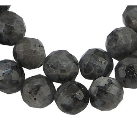 Natural Larvikite Beads Strands G865-102-1