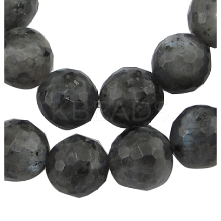 Natural Larvikite Beads Strands G866-102-1