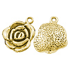 Tibetan Style Alloy Pendants GLF9872Y-1