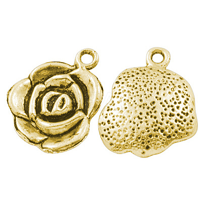 Tibetan Style Alloy Pendants GLF9872Y-1