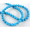Gemstone Bead Strand GSR064-1