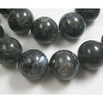 Natural Larvikite Beads Strands GSR14mmC128-1