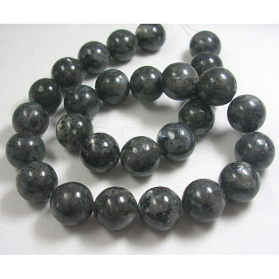 Natural Larvikite Beads Strands GSR14mmC128-1