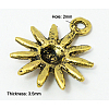 Tibetan Style Alloy Pendants K0910031-3