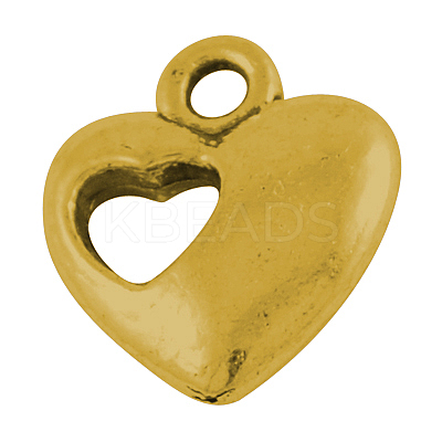 Alloy Pendants PALLOY-20573-AG-NR-1