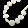 Natural Shell Beads Strands PBB-XXBK028Y-13-1