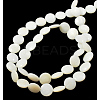 Natural Shell Beads Strands PBB-XXBK028Y-13-2