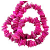 Natural Shell Beads Strands PBB226Y-3-2