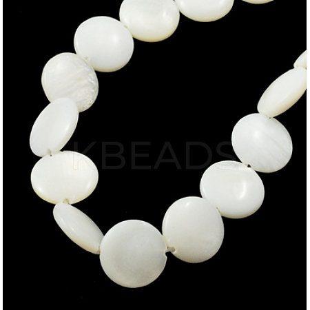 Natural Shell Beads Strands PBB-XXBK028Y-13-1