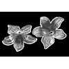 Transparent Acrylic Beads PL674Y-2