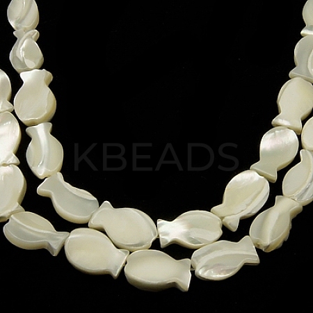 Natural White Shell Beads Strands SSHEL-18X10-1
