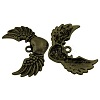 Tibetan Style Alloy Pendants TIBEB-EA11896YKG-AB-FF-1