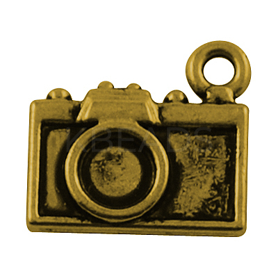 Tibetan Style Alloy Pendants TIBEP-48673-AG-FF-1