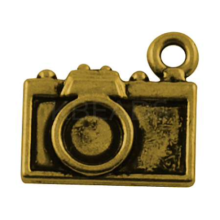 Tibetan Style Alloy Pendants TIBEP-48673-AG-FF-1