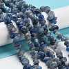 Dyed & Heated Natural Blue Aventurine Chip Beads Strands G-M205-10C-2