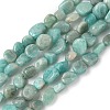 Natural Amazonite Beads Strands G-F521-25-1