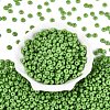 Opaque Colours Glass Seed Beads SEED-Q042-01A-D03-2