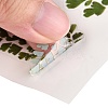 Waterproof Plastic Self Adhesive Stickers DIY-F064-13F-3