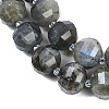 Natural Labradorite Beads Strands G-G182-B02-07-4