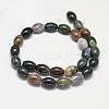 Oval Natural Indian Agate Bead Strands G-M257-14x10mm-01-2