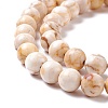 Natural HuBei Turquoise Beads Strands G-K317-A08-01-3