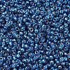 MIYUKI Round Rocailles Beads X-SEED-G007-RR1025-3