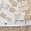MIYUKI TILA Beads SEED-MY05-TL2593-5