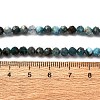 Natural Apatite Beads Strands LS-G-A276-C08-4mm-01-5