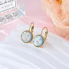 Flat Round 201 Stainless Steel Natural Shell Leverback Earrings FS-WG6391F-05-1