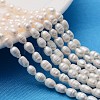 Grade A Natural Cultured Freshwater Pearl Strands X1-PEAR-N012-04I-1