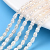Natural Cultured Freshwater Pearl Beads Strands PEAR-N012-03H-1