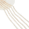 5 Strands Grade A Natural Cultured Freshwater Pearl Strands PEAR-NB0002-41-1