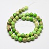 Natural Imperial Jasper Beads Strands G-I122-10mm-M-4