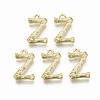 Alloy Pendants PALLOY-S137-001Z-NR-2