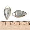 Natural Labradorite Pendants G-G193-02G-05-3