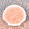 Frosted Glass Seed Beads SEED-N008-05A-2
