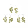 Dangle Earrings EJEW-E255-A11-2