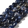Natural Sodalite Beads Strands G-B022-18B-1