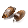 Natural Tiger Iron Pendants GG-K002-16V-2