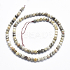 Natural Fossil Coral Beads Strands G-K256-11-4mm-2