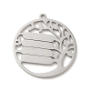 Non-Tarnish 304 Stainless Steel Pendants STAS-K270-46P-1
